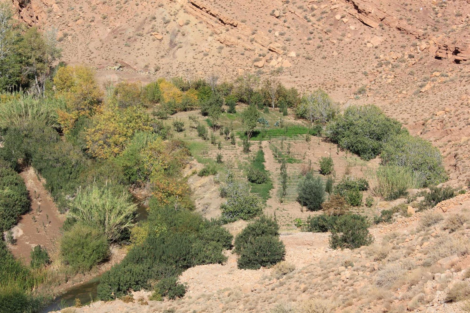 Ostello Kasbah Lucas Akhendachou n'Ait Ouffi Esterno foto